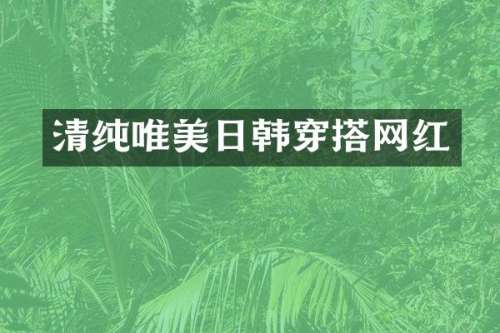 清纯唯美日韩穿搭网红