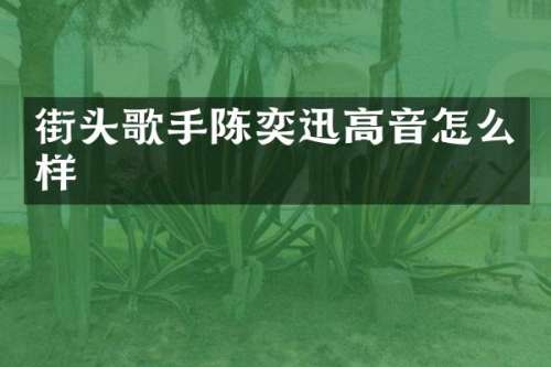 街头歌手陈奕迅高音怎么样