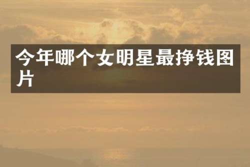 今年哪个女明星最挣钱图片