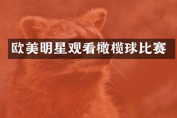 欧美明星观看橄榄球比赛