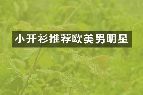 小开衫推荐欧美男明星