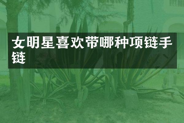女明星喜欢带哪种项链手链