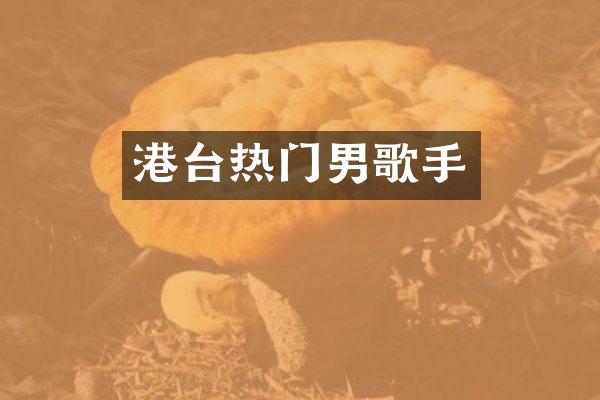 港台热门男歌手