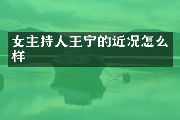 女主持人王宁的近况怎么样