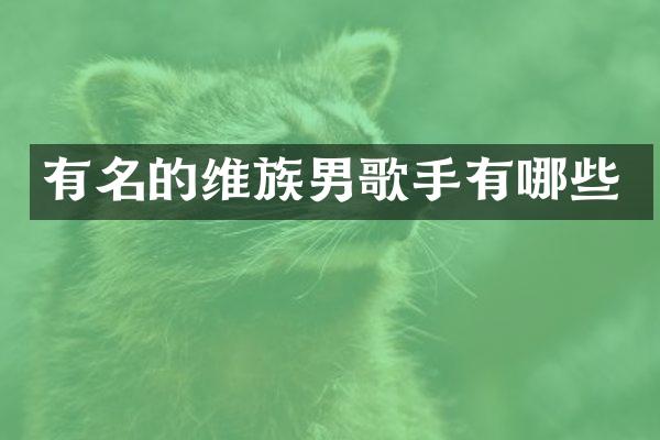 有名的维族男歌手有哪些