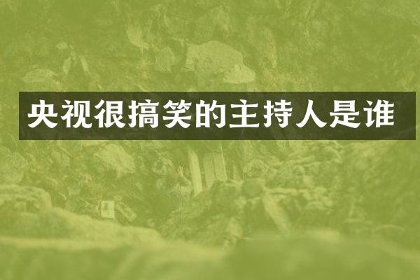 央视很搞笑的主持人是谁