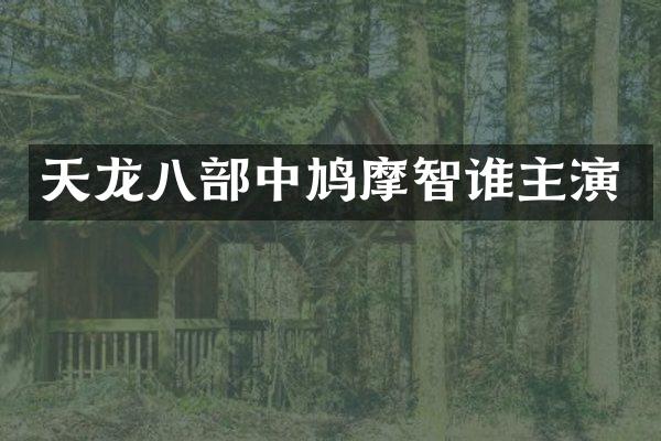 天龙八部中鸠摩智谁主演