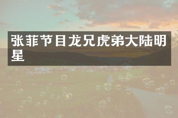 张菲节目龙兄虎弟大陆明星