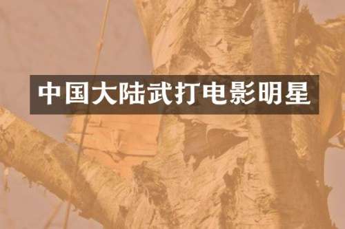 中国大陆武打电影明星