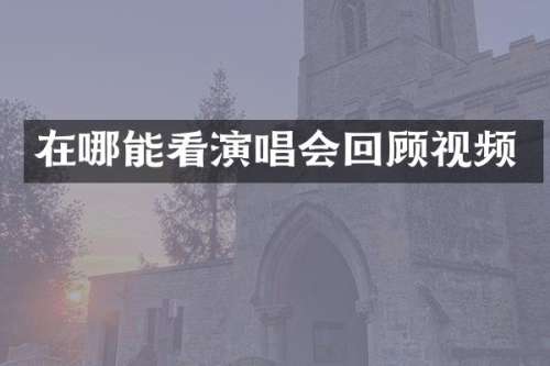 在哪能看演唱会回顾视频