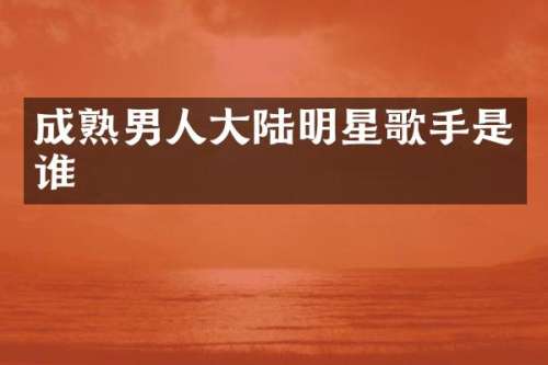成熟男人大陆明星歌手是谁