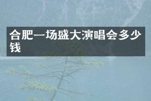 合肥一场盛大演唱会多少钱