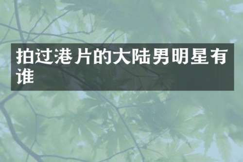 拍过港片的大陆男明星有谁