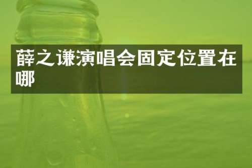 薛之谦演唱会固定位置在哪