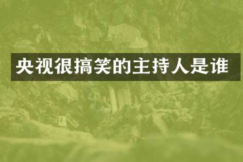 央视很搞笑的主持人是谁