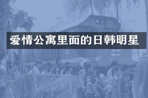 爱情公寓里面的日韩明星