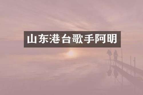 山东港台歌手阿明