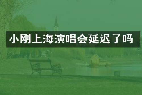 小刚上海演唱会延迟了吗