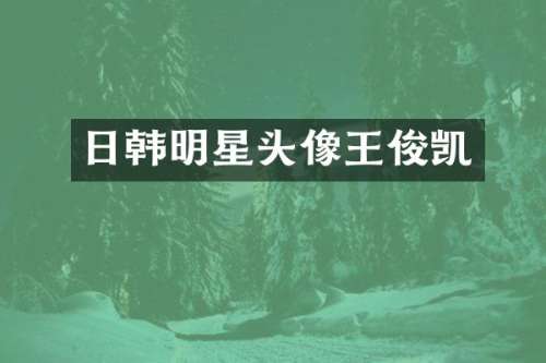 日韩明星头像王俊凯