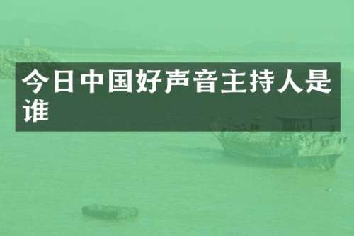今日中国好声音主持人是谁