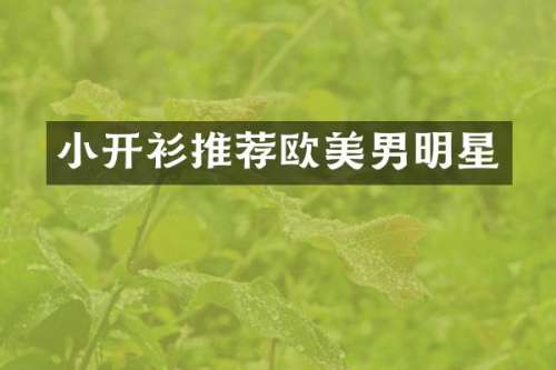 小开衫推荐欧美男明星