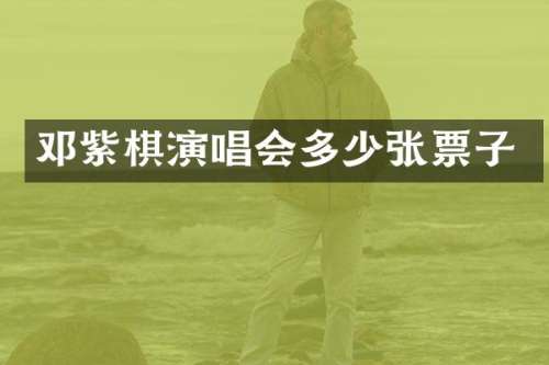 邓紫棋演唱会多少张票子