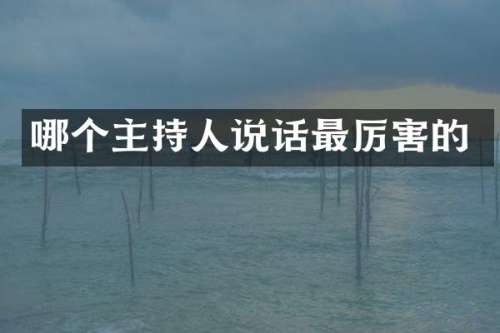 哪个主持人说话最厉害的