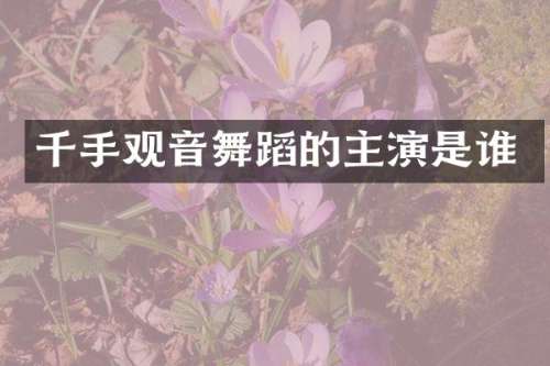 千手观音舞蹈的主演是谁