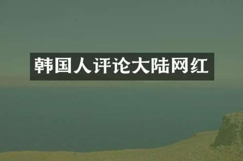 韩国人评论大陆网红