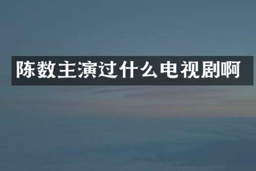 陈数主演过什么电视剧啊