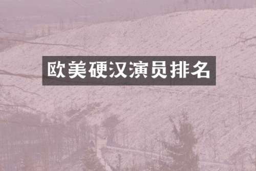 欧美硬汉演员排名