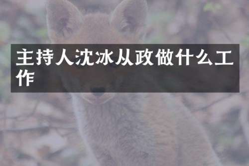 主持人沈冰从政做什么工作