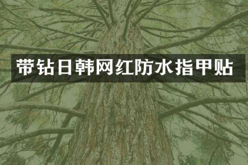 带钻日韩网红防水指甲贴