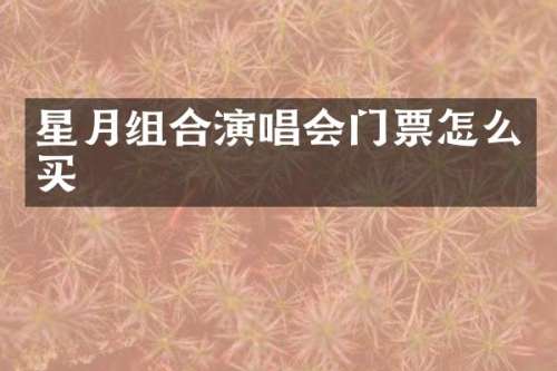 星月组合演唱会门票怎么买
