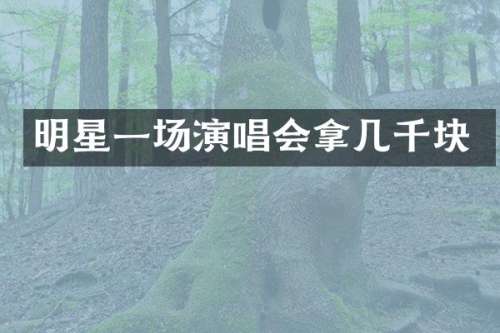 明星一场演唱会拿几千块