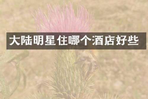 大陆明星住哪个酒店好些