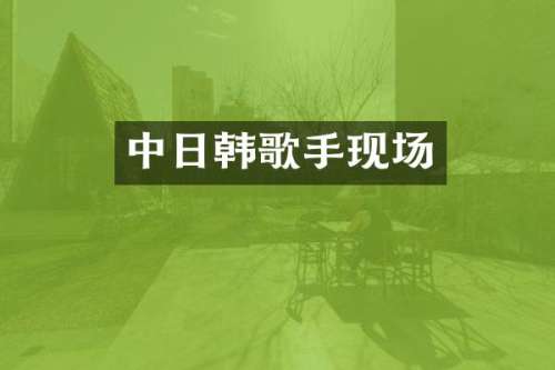 中日韩歌手现场
