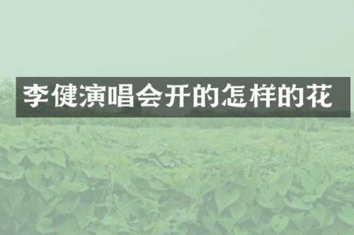 李健演唱会开的怎样的花