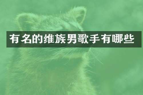 有名的维族男歌手有哪些