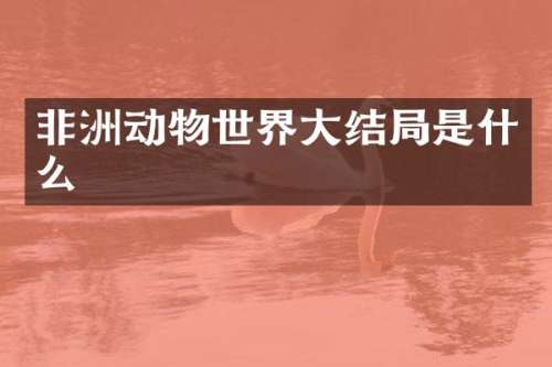 非洲动物世界大结局是什么