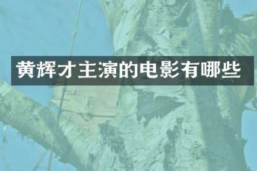 黄辉才主演的电影有哪些