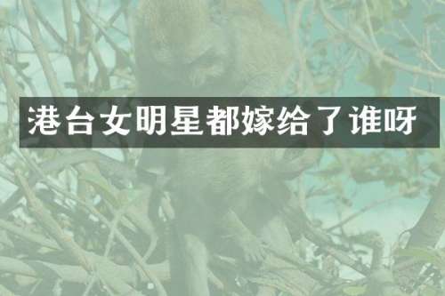 港台女明星都嫁给了谁呀