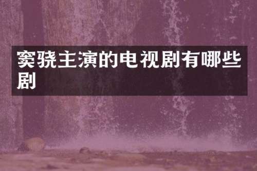 窦骁主演的电视剧有哪些剧