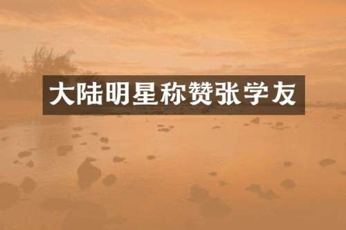 大陆明星称赞张学友