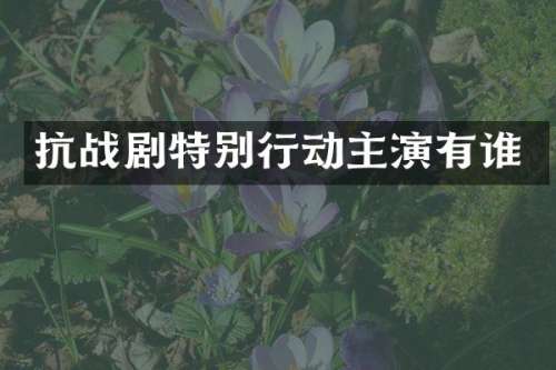 抗战剧特别行动主演有谁