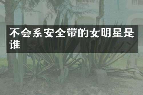 不会系安全带的女明星是谁