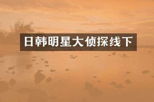 日韩明星大侦探线下