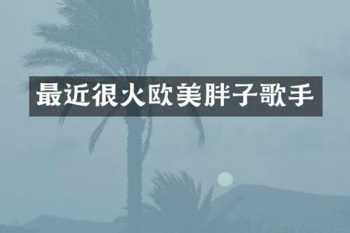 最近很火欧美胖子歌手