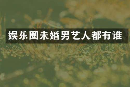 娱乐圈未婚男艺人都有谁