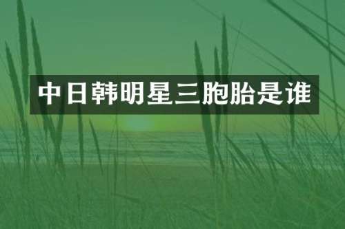 中日韩明星三胞胎是谁